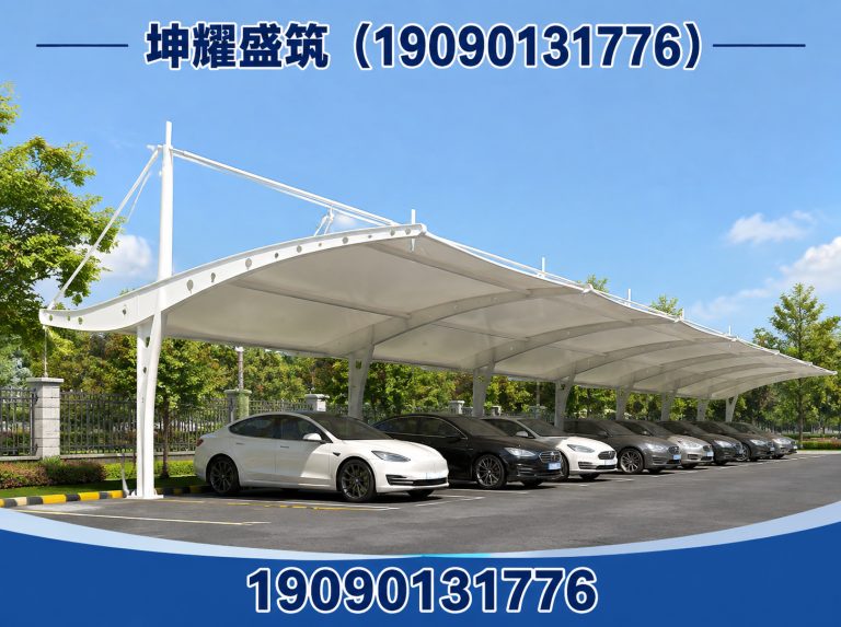 轮台县膜结构施工展示图